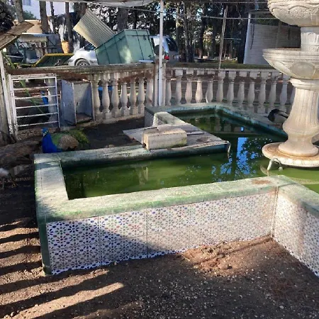 En Particular El Palomar بليانة